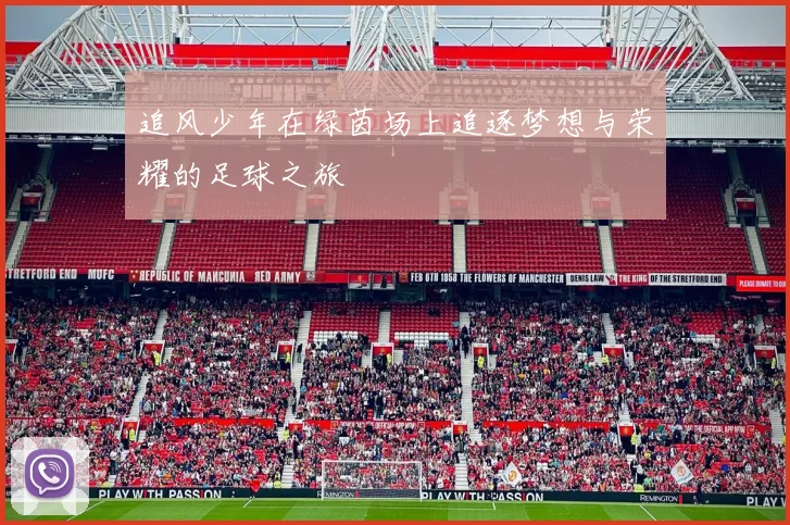 追风少年在绿茵场上追逐梦想与荣耀的足球之旅