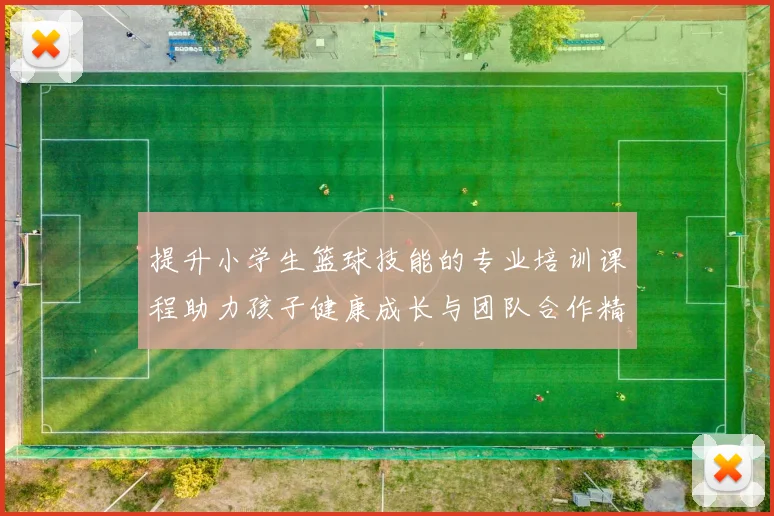 提升小学生篮球技能的专业培训课程助力孩子健康成长与团队合作精神培养