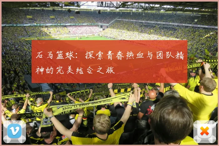 石马篮球：探索青春热血与团队精神的完美结合之旅