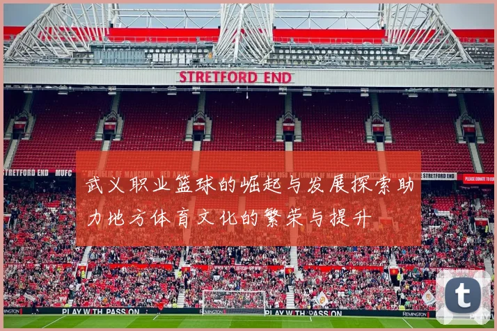 武义职业篮球的崛起与发展探索助力地方体育文化的繁荣与提升